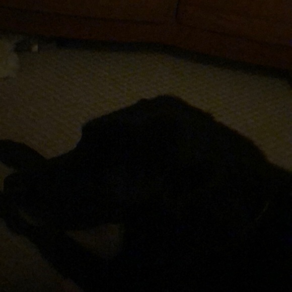 Meet your Posher, Anthony - Picture 1 of 1